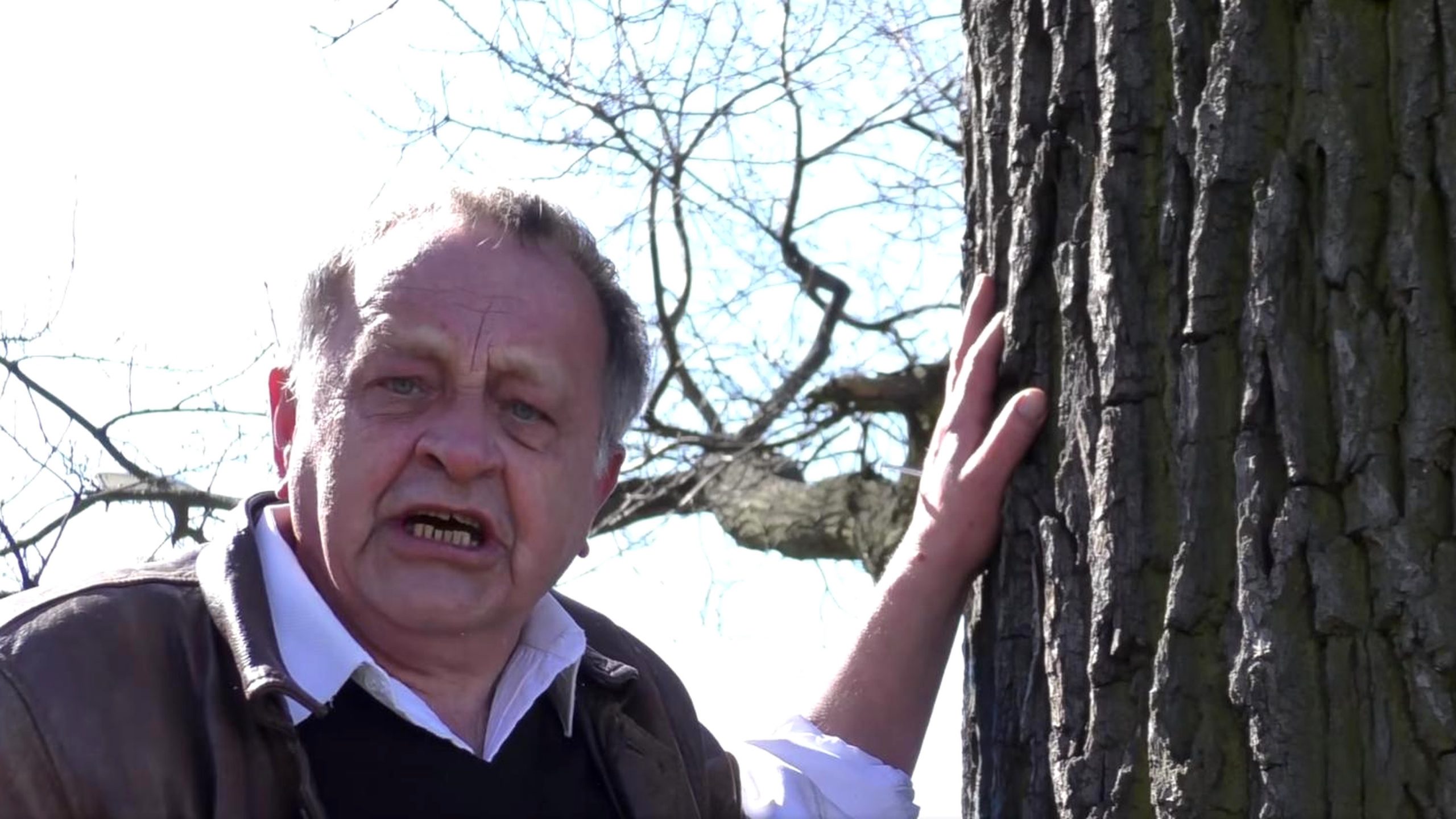 propolski.pl: Protestujący przybił się do drzewa