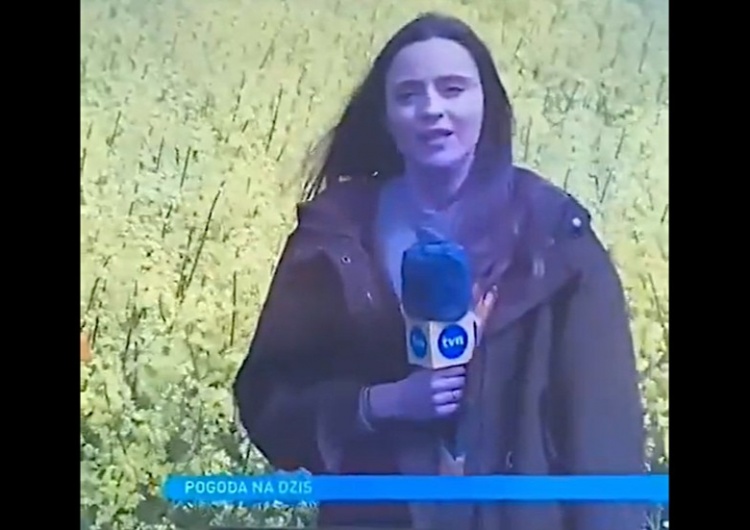 propolski.pl: [video] Przezabawna wpadka reporterki TVN. "Jak pięknie i obficie kwitnie bez". Pokazała pole...