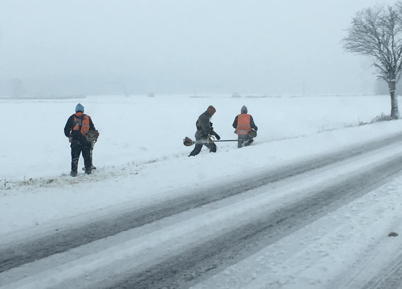 propolski.pl: Pracownicy kosili "śnieg"