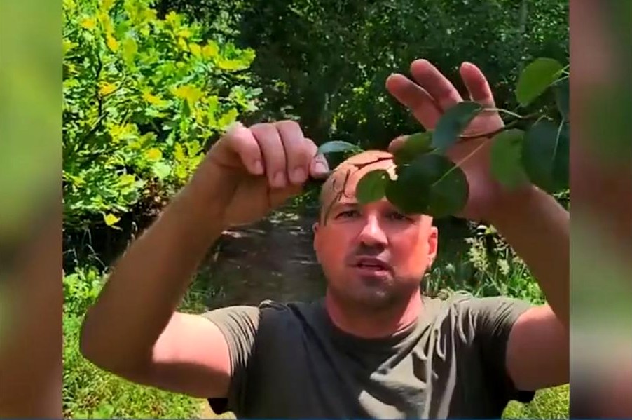 propolski.pl: Czeczeni zakładają pułapki w ukraińskich lasach
